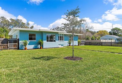 6617 Bougainvilla Avenue S St Petersburg FL 33707