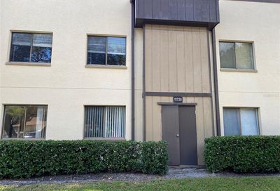 11720 Raintree Lake Lane Tampa FL 33617