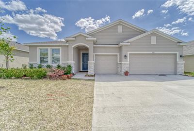 3414 Autumn Amber Drive Spring Hill FL 34609