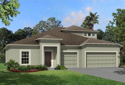 3191 King Fern Drive Wimauma FL 33598