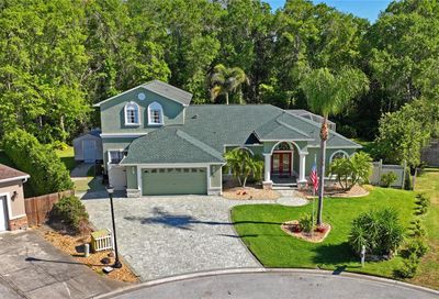 10304 Worthy Lamb Way New Port Richey FL 34654