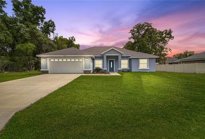 16319 SE 80th Terrace Summerfield FL 34491