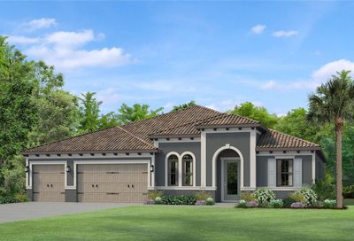 6048 Marsh Trail Drive Odessa FL 33556