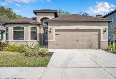 11620 Weaver Hollow Road New Port Richey FL 34654