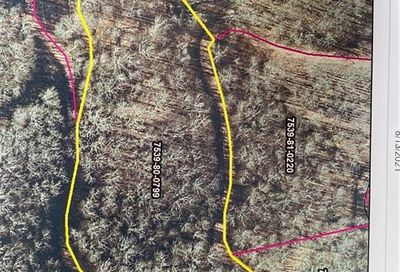 Lot 66 Mountain Forest Estates Road Sylva NC 28779