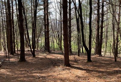 Tbd Tole Allison Road Mills River NC 28759