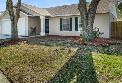 1018 Peachwood Drive Brandon FL 33510