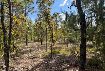 Acacia Interlachen FL 32148