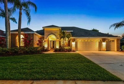 11926 Keating Drive Tampa FL 33626