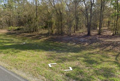 County Road 231 Lake Butler FL 32054