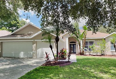 1145 Lumsden Trace Circle Valrico FL 33594