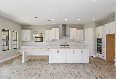 4350 Emerald Point Lane Brandon FL 33511