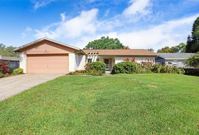 2823 Oak Tree Lane Palm Harbor FL 34684