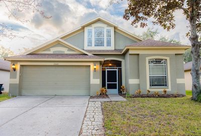 15541 Martinmeadow Drive Lithia FL 33547