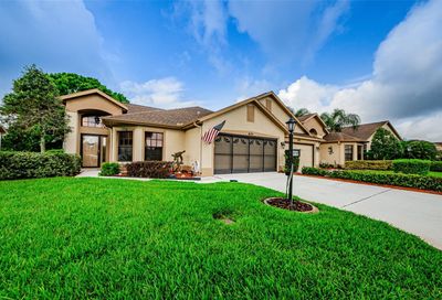 6131 Pine Lawn Way New Port Richey FL 34655