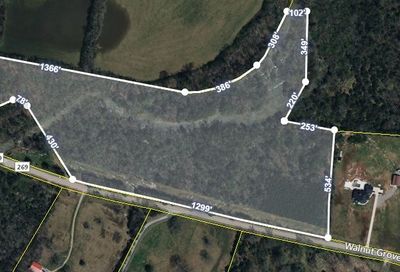 Walnut Grove Rd Christiana TN 37037