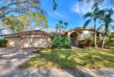 2976 Elysium Way Clearwater FL 33759