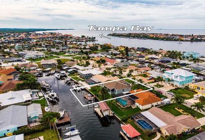 6337 Cottonwood Lane Apollo Beach FL 33572