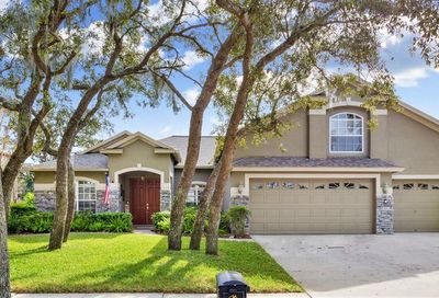 5970 Jaegerglen Drive Lithia FL 33547