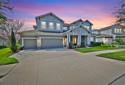 6414 Tideline Drive Apollo Beach FL 33572