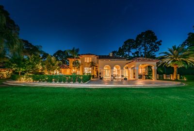 18571 Council Crest Drive Odessa FL 33556