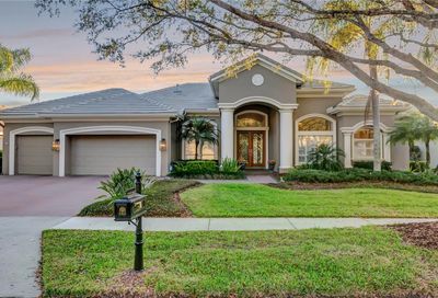 17210 Broadoak Drive Tampa FL 33647