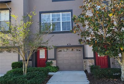 2524 Middleton Grove Drive Brandon FL 33511