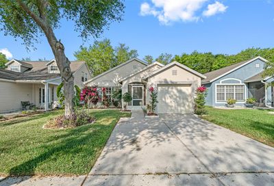 6629 Summer Haven Drive Riverview FL 33578