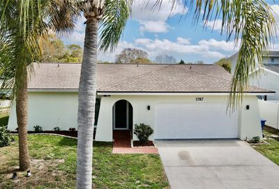 1787 E Grovehill Road Palm Harbor FL 34683