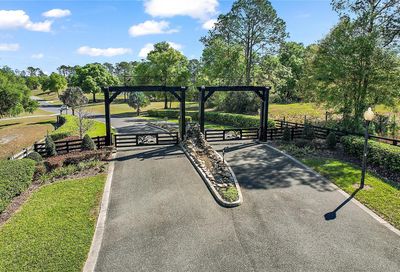 41509 Saddle Ridge Lane Weirsdale FL 32195