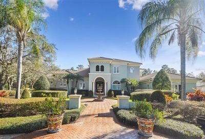 18911 Lakes Edge Way Odessa FL 33556