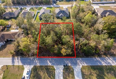 Tbd SE 93rd Court Summerfield FL 34491