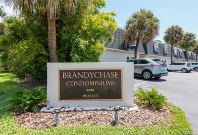 4325 Aegean Drive Tampa FL 33611