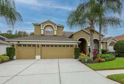 18120 Royal Forest Drive Tampa FL 33647