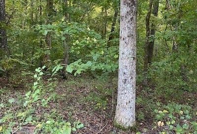 Robertson Court Dawsonville GA 30534