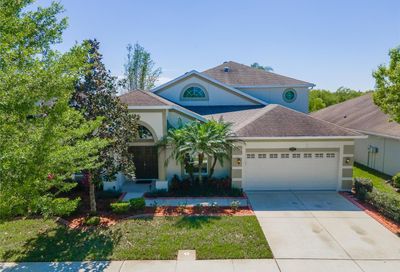 10857 Breaking Rocks Drive Tampa FL 33647