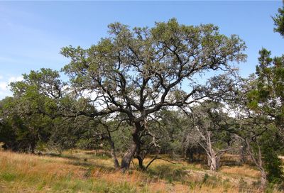 940 O'neill Ranch Road Dripping Springs TX 78620