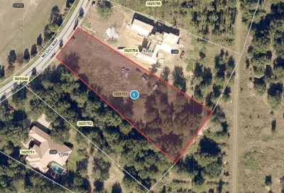 17010 Medici Way Montverde FL 34756