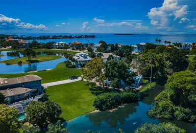 2105 Sandpiper Pointe Court Tarpon Springs FL 34689
