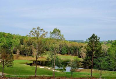 55 Currahee Club Trail Toccoa GA 30577