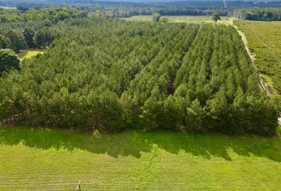 360 Woodyard Trenton SC 29847