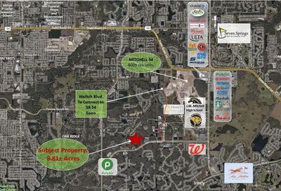 7901 Mitchell Boulevard Trinity FL 34655