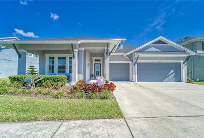 6805 Ebb Tide Avenue Apollo Beach FL 33572