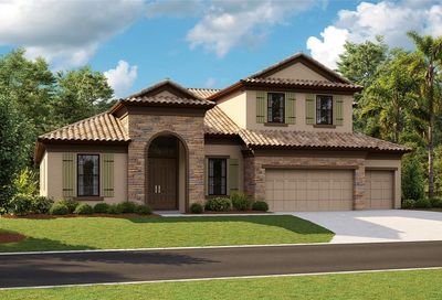 201 Mossy River Court Brandon FL 33511