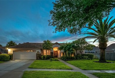 12310 Glencliff Circle Tampa FL 33626