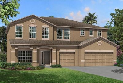 3177 King Fern Drive Wimauma FL 33598