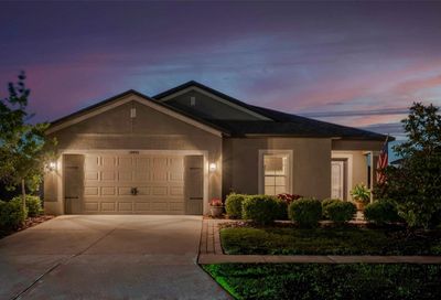 12433 Chaya Court Spring Hill FL 34610