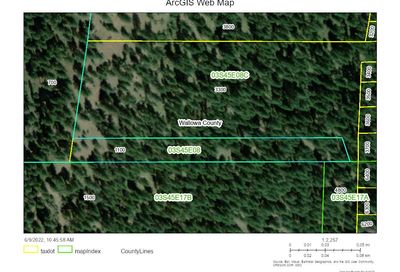 03s4508 Tax Lot 1100 Wallowa Lake OR 97846