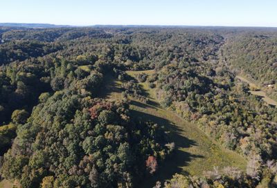 Noah Beechgrove TN 37018