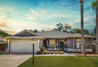 1711 Brookstone Way Plant City FL 33566